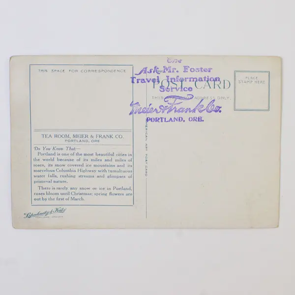 Birds Eye View Portland Oregon Mt Hood Color Postcard 1910s Meier & Frank