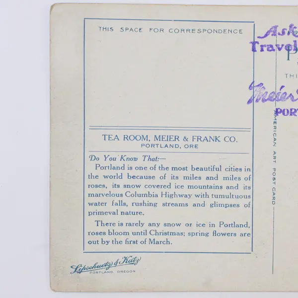 Birds Eye View Portland Oregon Mt Hood Color Postcard 1910s Meier & Frank