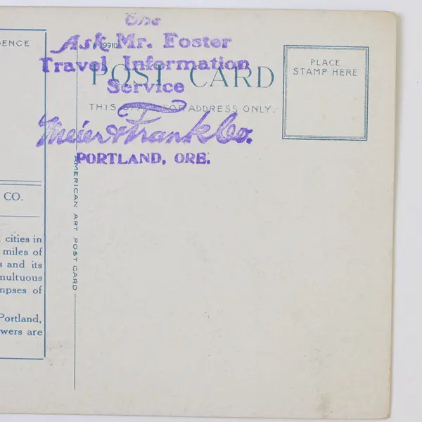 Birds Eye View Portland Oregon Mt Hood Color Postcard 1910s Meier & Frank