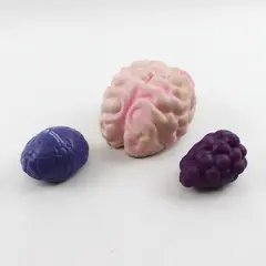 Lot of 3 Stress Ball Sensory Toys - Pink Brain, Purple Brain, Grape