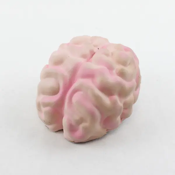 Lot of 3 Stress Ball Sensory Toys - Pink Brain, Purple Brain, Grape