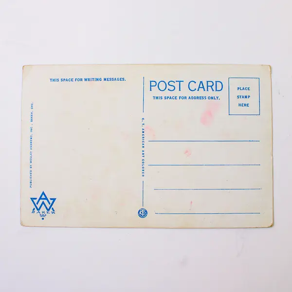 Hotel Astoria Oregon On The Old Oregon Trail Color Litho Postcard 1920s 