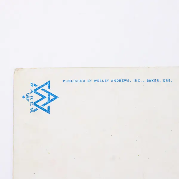 Hotel Astoria Oregon On The Old Oregon Trail Color Litho Postcard 1920s 