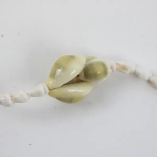 Lot of 2 Green and White Cowrie Mini Conch Beaded Seashell Necklaces 19"