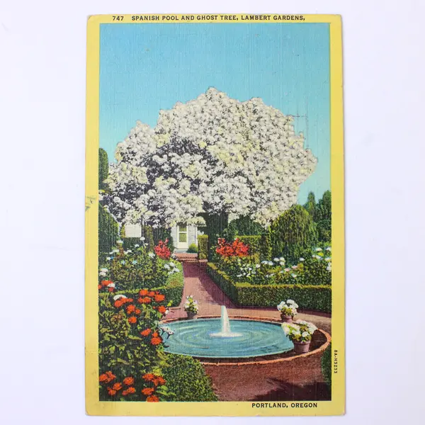 Lot Of 3 Lambert Gardens Portland Oregon Color Litho Postcards 1940s 