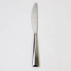 Pottery Barn Flatware Bevel Pattern 18/8 SS Dinner Knife 9.25" Very Rare HTF