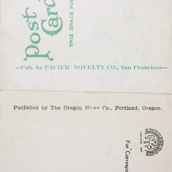 Lot Of 2 Vintage Portland Oregon Mt Hood Birds Eye View Litho Postcards