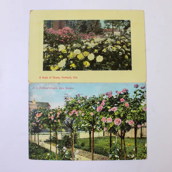 Lot Of 2 Portland Oregon Rose Garden Color Litho Postcards