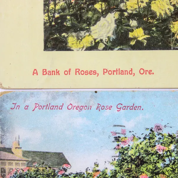 Lot Of 2 Portland Oregon Rose Garden Color Litho Postcards