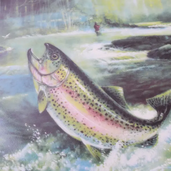 Reco Rainbow River 1996 Fishtales Collector Plate 8"