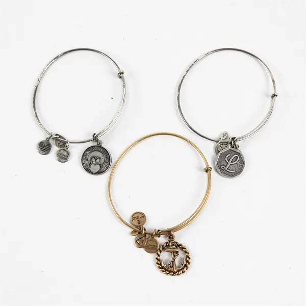 Lot of 3 Alex and Ani Bangle Charm Bracelets Gold and Silver-Tone