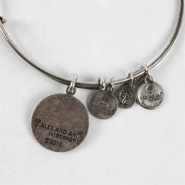 Lot of 3 Alex and Ani Bangle Charm Bracelets Gold and Silver-Tone