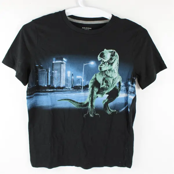 Arizona Jean Co Black W/ T-Rex In City Short Sleeve T-Shirt Boys Size XL (18-20)