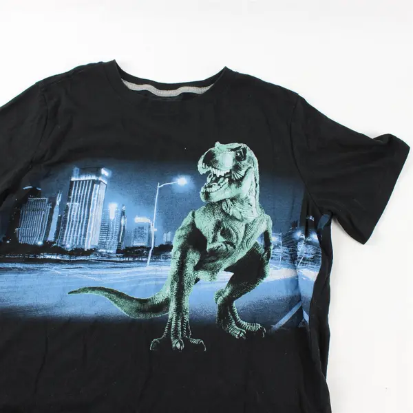 Arizona Jean Co Black W/ T-Rex In City Short Sleeve T-Shirt Boys Size XL (18-20)