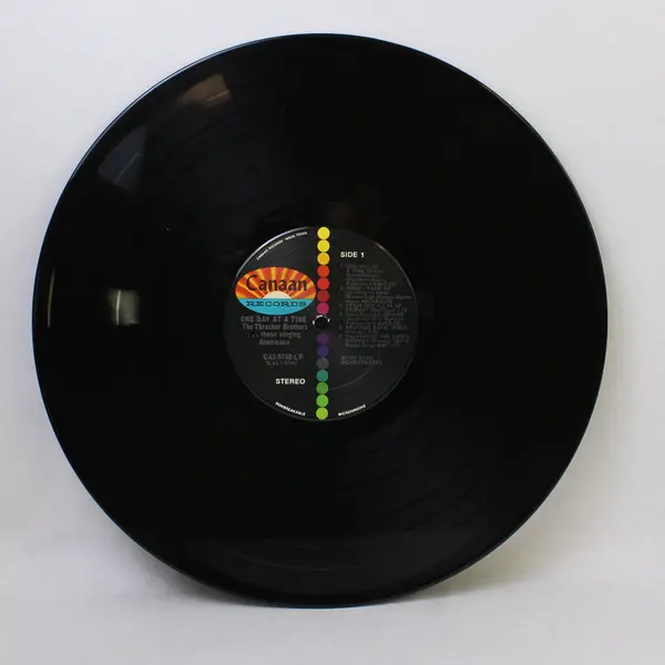 The Thrasher Brothers: "One Day At A Time" 12" Vinyl Record