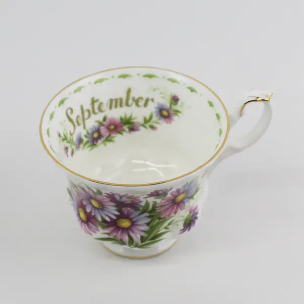 Vintage Royal Albert September Michaelmas Daisy Bone China Cup & Saucer Set