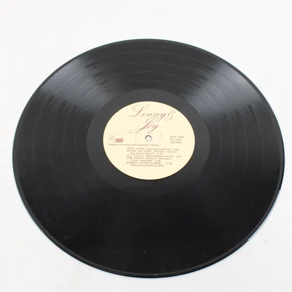 Lenny & Joy "What A Day To Be Alive" 12" Vinyl Record