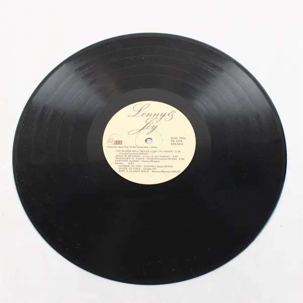 Lenny & Joy "What A Day To Be Alive" 12" Vinyl Record