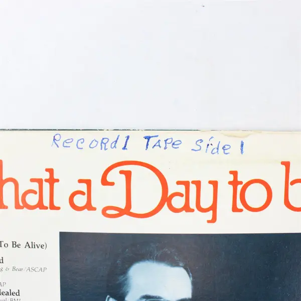 Lenny & Joy "What A Day To Be Alive" 12" Vinyl Record