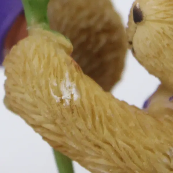 2004  Enesco Cherished Teddies Thanks for Showing Me Life Is Beautiful  #105674