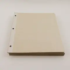 Lot of 25 Photo Album Refill Pages 11x9 Scrapbook Sleeves