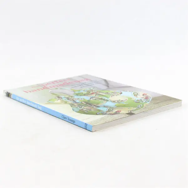 The Perfect Handmade Bag Recycle & Reuse  by Clare Youngs 2009 Paperback Good