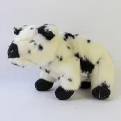 Vintage 2004 Ty Beanie Baby Stubby Pig Black & White Spotted 7in No Tag
