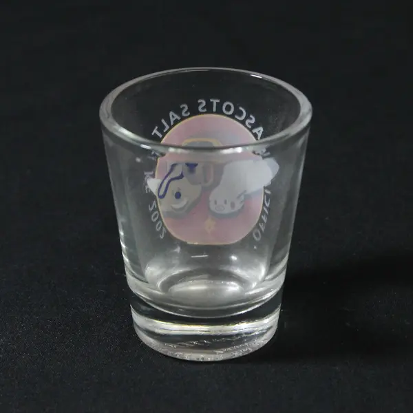 Hunter Clear Glass "Offici Mascots Salt Lake 2002" Printed Shot Glass 2.5"
