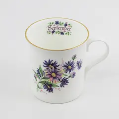 Vintage Crown Trent September Aster Flower of the Month Coffee  Mug