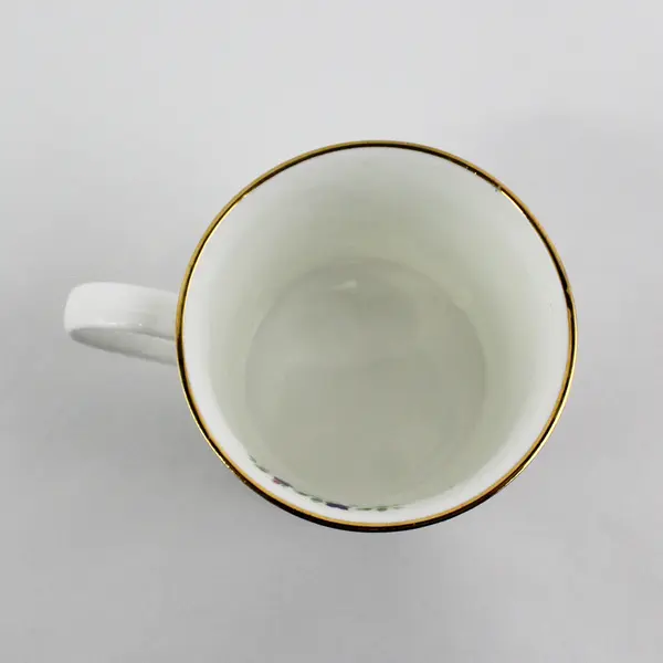 Vintage Crown Trent September Aster Flower of the Month Coffee  Mug