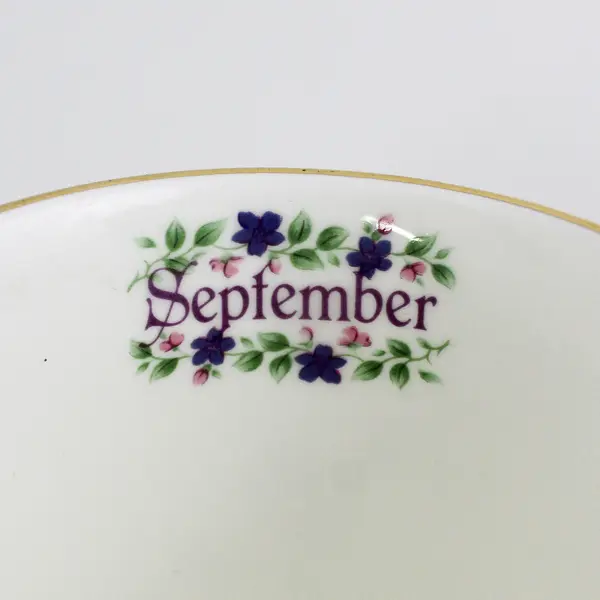 Vintage Crown Trent September Aster Flower of the Month Coffee  Mug