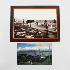 Lot Of 2 Vintage Astoria Oregon Postcards Salmon Seining Astoria Bridge