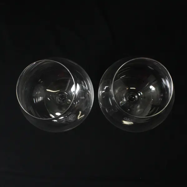 Lot Of 2 Ken Wright Cellars Matching Clear Glass Pinot Noir Wine Glasses 9.25"