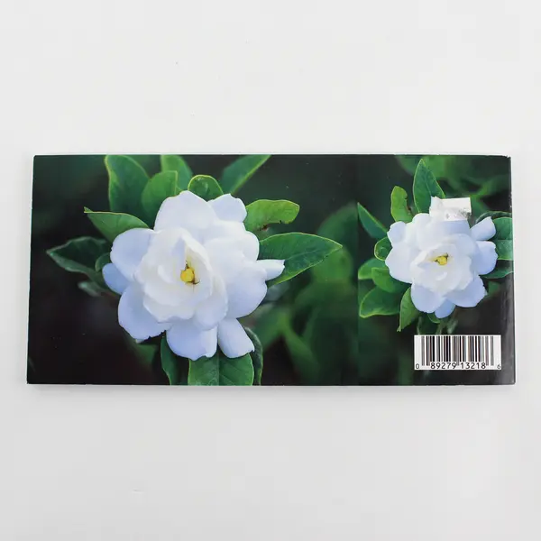 Flowers Of Hawaii Postcard Bonus Album 20 Cards Plus 20 Miniatures 