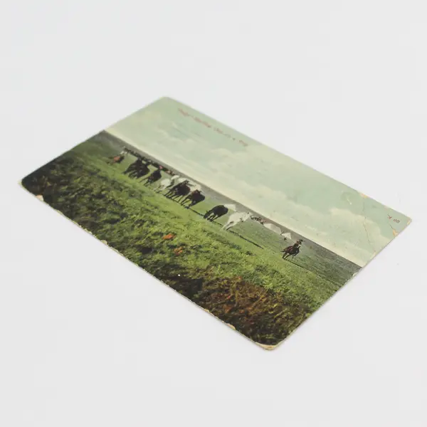 Reps Starting Out On A Trip Postcard Pendleton To Astoria Oregon Finnish Message