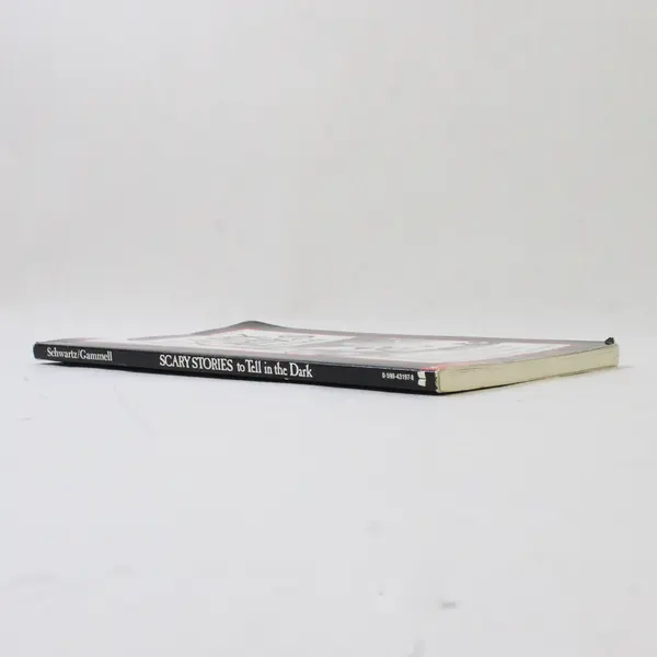 Scholastic Scary Stories to Tell in the Dark Collected by Alvin Schwartz PB 1989