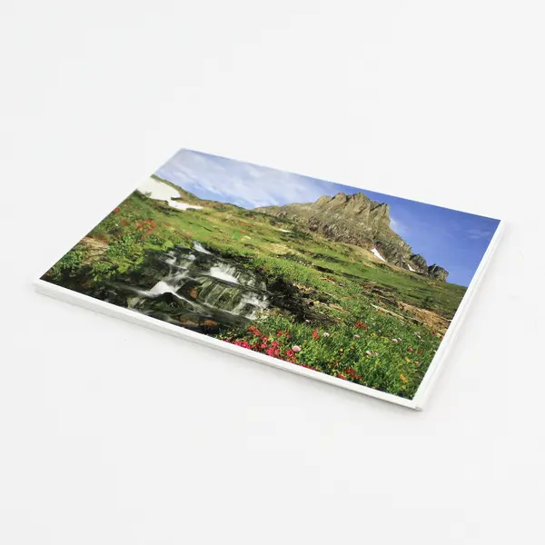 Glacier National Park Set Of 12 Souvenir Prints Montana