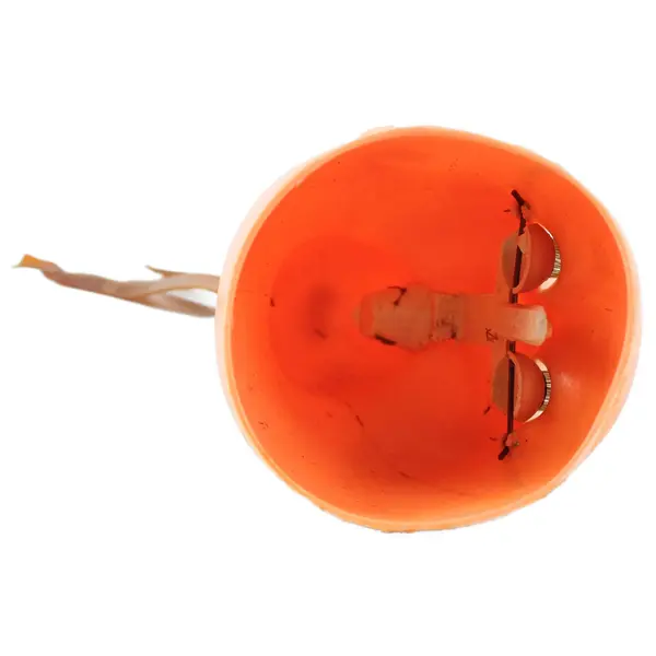 Vintage Collectible 1950s Large 12in "Bella" Doll - Not Assembled - All Included