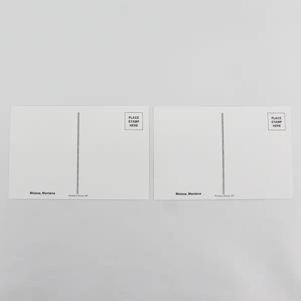 Lot Of 2 Vintage Moiese Montana Postcards Bison And Calf Art By Kraft