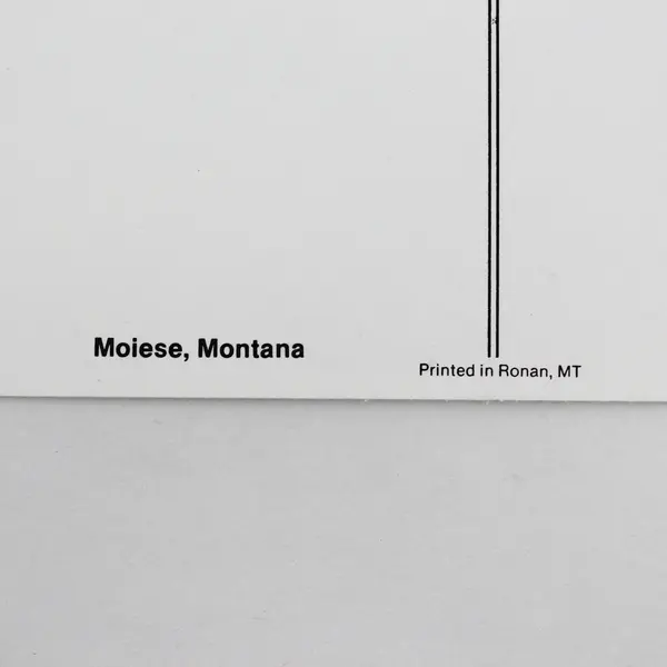 Lot Of 2 Vintage Moiese Montana Postcards Bison And Calf Art By Kraft