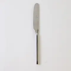 Villeroy & Boch New Wave Pattern 18/10 Stainless Dinner Knife 9.25" Good