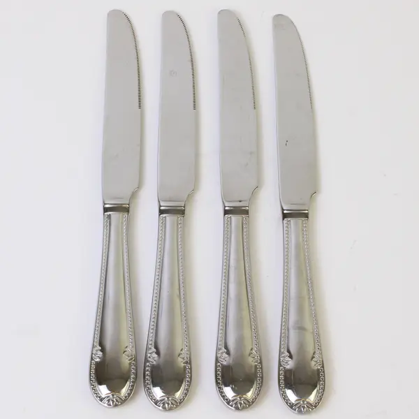 Lot of 4 Villeroy & Boch Mademoiselle Pattern 18/10 SS Solid Dinner Knives 9.25"