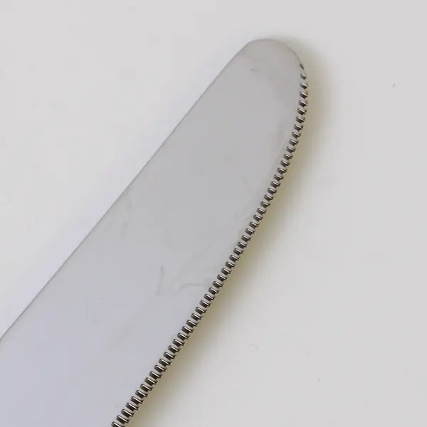 Lot of 4 Villeroy & Boch Mademoiselle Pattern 18/10 SS Solid Dinner Knives 9.25"