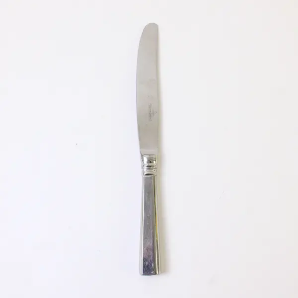 Villeroy & Boch Montclair Pattern SS Hollow Dinner Knife 9.5" Rare HTF Item