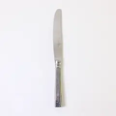 Villeroy & Boch Montclair Pattern SS Hollow Dinner Knife 9.5" Rare HTF Item