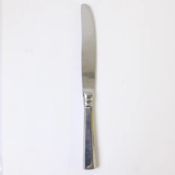 Villeroy & Boch Montclair Pattern SS Hollow Dinner Knife 9.5" Rare HTF Item