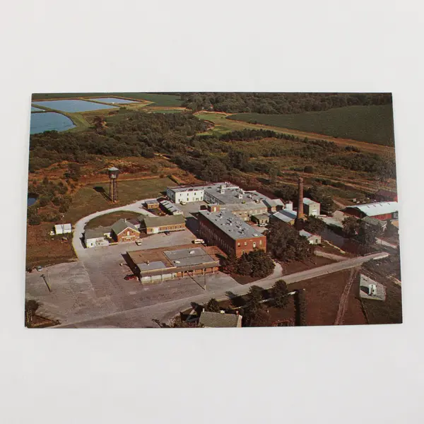 Lot Of 3 VTG Amana Colonies Iowa Industry Color Postcards Woolen Mills Furniture