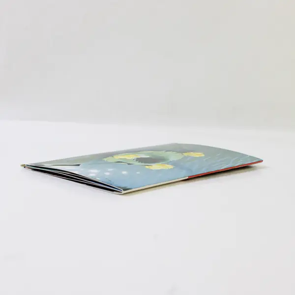 Vintage Greetings From The Amana Colonies Amana Iowa Souvenir Folder 