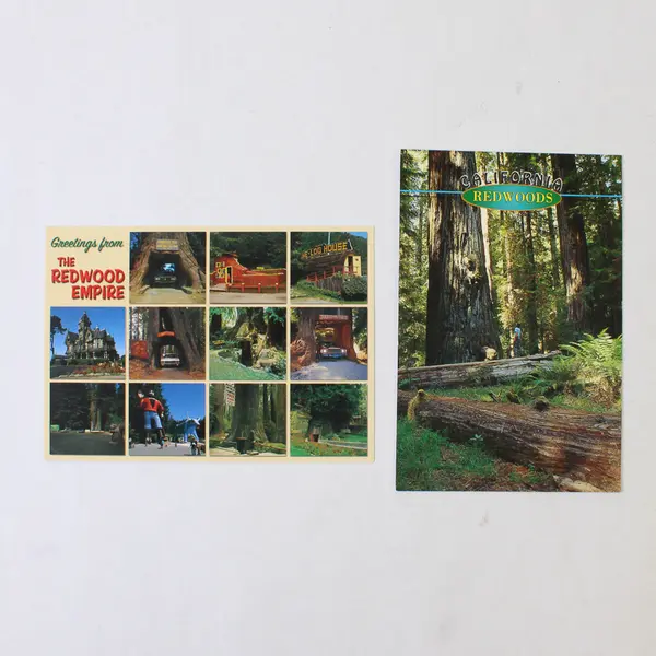 Lot Of 2 California Redwoods Redwood Empire Color Postcards