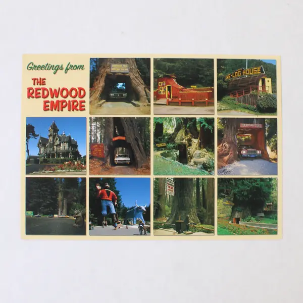 Lot Of 2 California Redwoods Redwood Empire Color Postcards